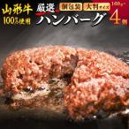 黒毛和牛 山形牛 100% 贅沢 ハンバーグ 160g×4個