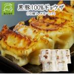 黒豚100%ギョウザ 10個入×8パック