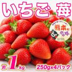 果汁溢れる旬の苺 デザートにも いちご 約1kg