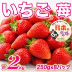 果汁溢れる旬の苺 デザートにも いちご 約2kg