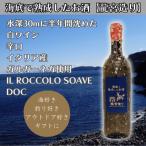 辛口 IL ROCCOLO SOAVE DOC
