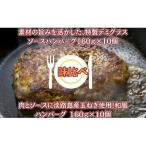 ハンバーグ 特製デミグラスソース