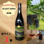 SILENT SIREN 貫井園 コラボレーション