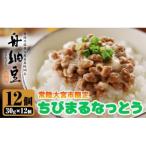 常陸大宮 舟納豆 ちびまる納豆12パック