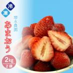 増永農園の完熟冷凍あまおう2kg WS014