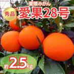 愛果28号 秀品 約2.5kg