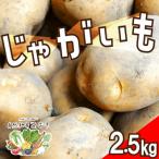 自然のままに育ったじゃがいも2.5kg