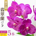 希少な花 華やかな恋の予感 翡翠蘭 バンダ