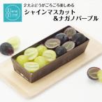 1本で2度おいしいシャインマスカット&amp;ナガノパープルカ…