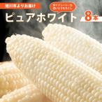 2027年 甘くジューシーな白いとうもろこし8本