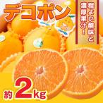 デコポン 約2kg