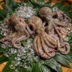 fu.... налог Harima блок Harima блок производство [.... ...] вакуум упаковка 3 листов ( рефрижератор )