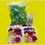 食用のエディブルフラワー 生花×4パック