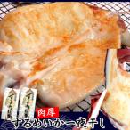 肉厚スルメイカ 一夜干し 大 2枚