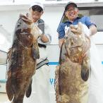 船での夢の大物釣り半日体験 真鯛 シマアジ