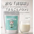 Mecha Melon プロテイン メカメロンプロテイン