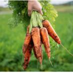 fu.... налог прекрасный тент блок есть перевод морковь 2kg