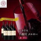 ソラリス 千曲川 メルロー 2022 750ml×6本