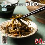 白口浜真昆布 春摘み 50g