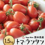 ミニトマト トマ ランタン 約1.5kg