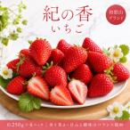 紀州和歌山ブランドいちご 紀の香 約250g×4P