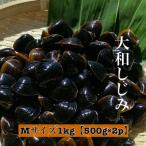 fu.... налог Matsue город Shimane . дорога озеро производство рефрижератор Yamato ...M размер 1kg(500g×2) комплект ( песок вытащенный отделка settled )