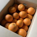 紅はっさく サイズ混合 10kg