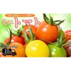 ミニトマト計1600gから1800gカラートマト食べ比べセット