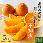 お好みの味に育てて楽しむ 不知火 しらぬひ 5kg