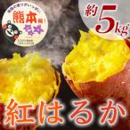 紅はるか さつまいも 約5kg