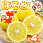 やさしい甘さと爽やかな味わいのみかん