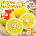 やさしい甘さと爽やかな味わいのみかん