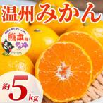 今が旬 高糖度でジューシー 温州みかん 2S~2L 約5kg