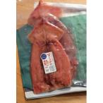 するめの麹漬け2枚セット