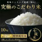 菊池産こだわり七城米 10kg
