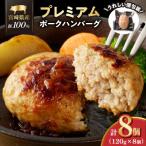 産豚プレミアムハンバーグ 計8個