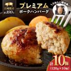 産豚プレミアムハンバーグ 計10個