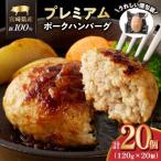 産豚プレミアムハンバーグ 計20個