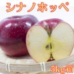シナノホッペ 5kg箱