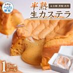 半熟生カステラ