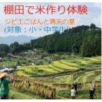 棚田で米作り体験とジビエごはん 小 中学生申し込み