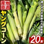ヤングコーン 20本