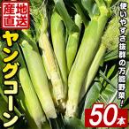 ヤングコーン 50本
