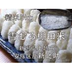 新之助 精米 上越産 米 お米 5kg