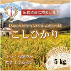 令和7年 山崎農園こしひかり5kg