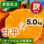 訳あり 農園直送 甘平 かんぺい 5.0kg
