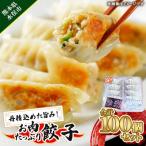 丹精込めた旨み お肉 餃子 100個セット