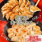 えひめの美味しい厳選餃子 あさの生餃子