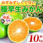 温州みかん 約10kg