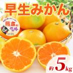 早生みかん 2S~2L 約5kg